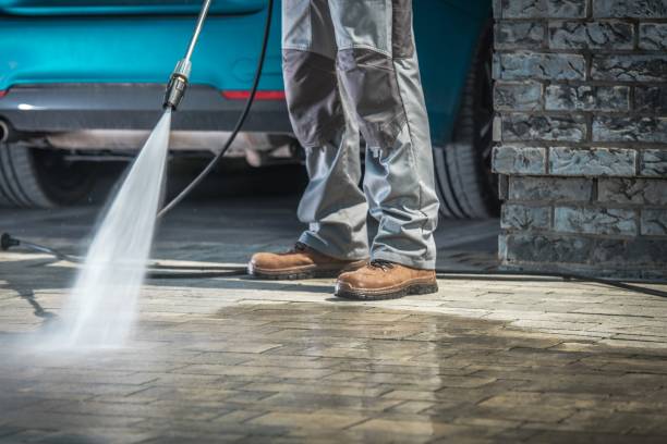 Best Animal Enclosure Cleaning  in Andrews, TX