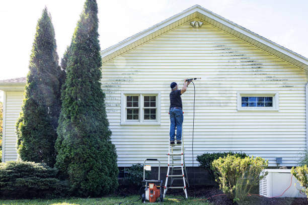 Best Roof Washing  in Andrews, TX